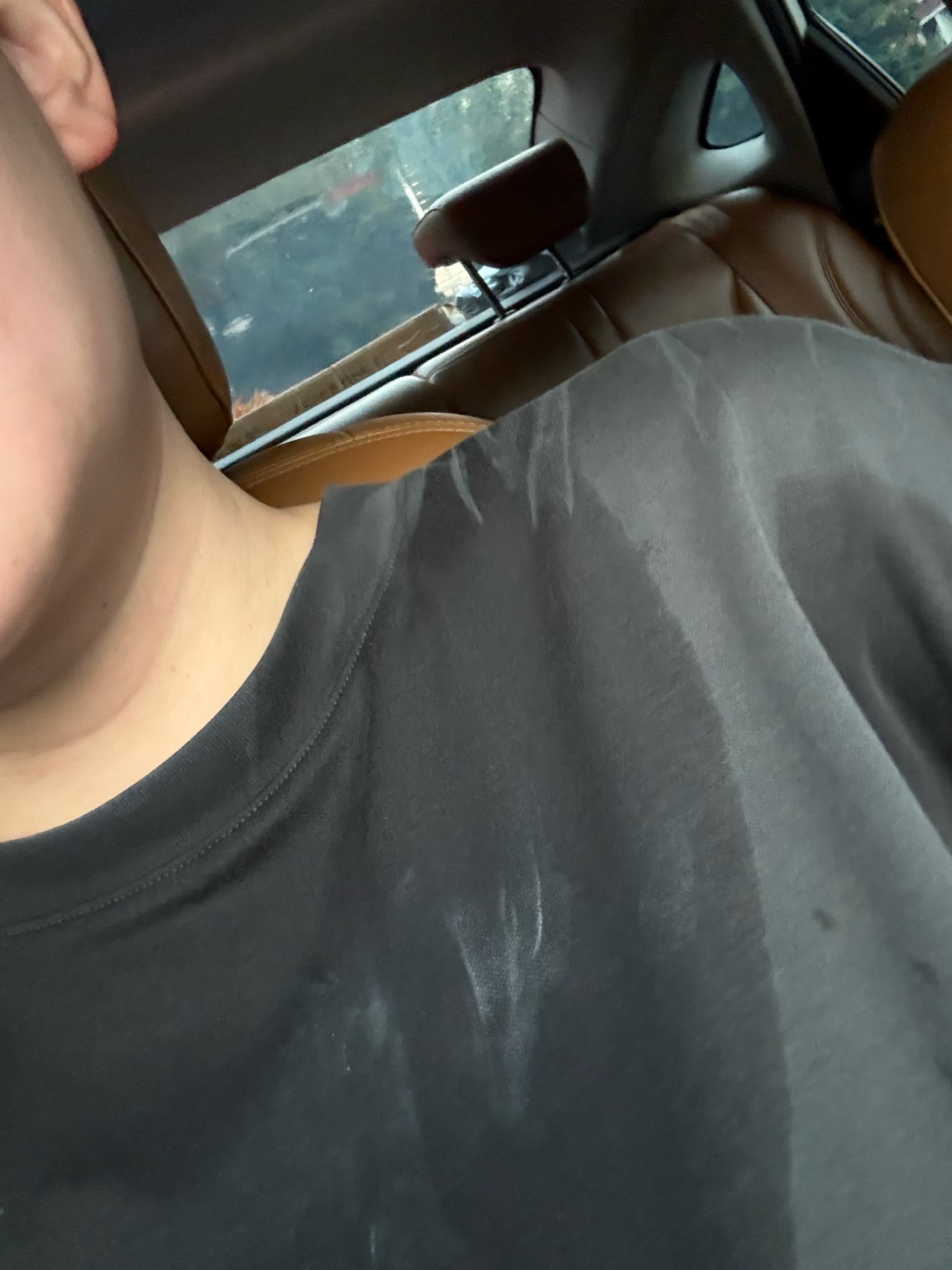 本次杯赛的 本次杯赛的